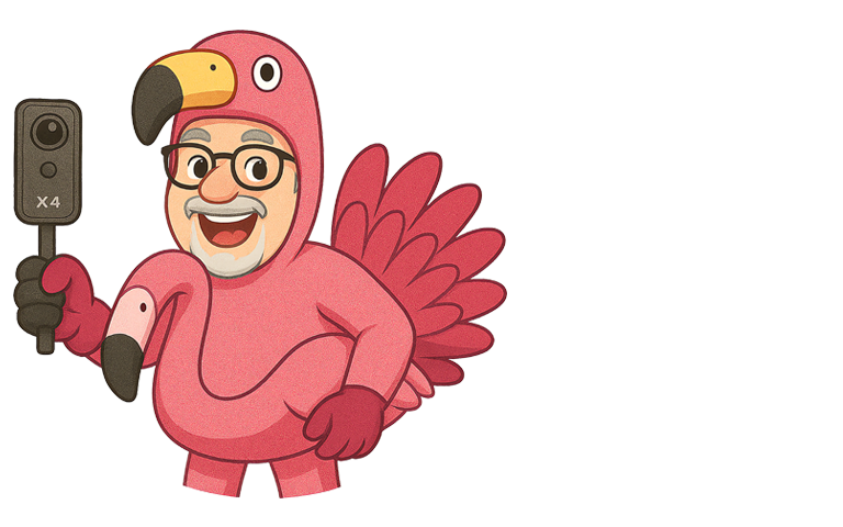 CrazyDudePaul - Crazy Flamingo