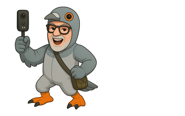 CrazyDudePaul - Crazy Pigeon